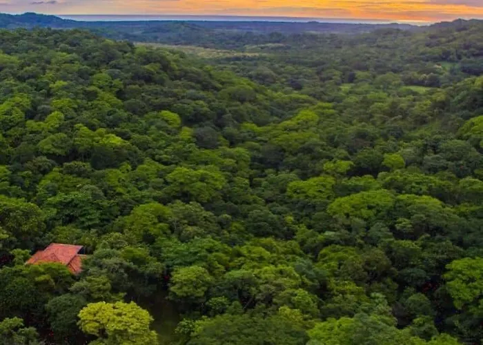 Gasthof Canafistula Fourth Dimension Tamarindo