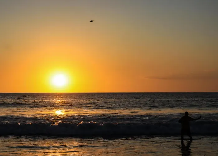 Canafistula Fourth Dimension Tamarindo