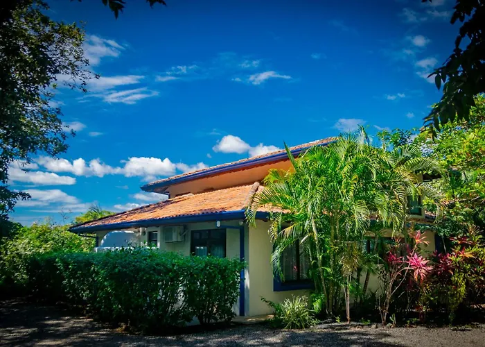 Canafistula Fourth Dimension Tamarindo